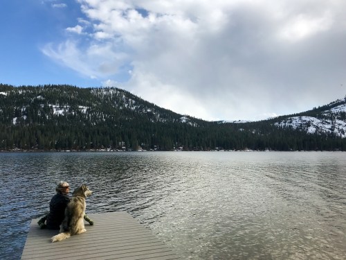 A person and a dog sit on a dock, gazing at a serene lake surrounded by mountains and trees under a cloudy sky.