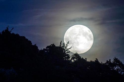 A full moon rises behind dark silhouettes of trees against a cloudy night sky.