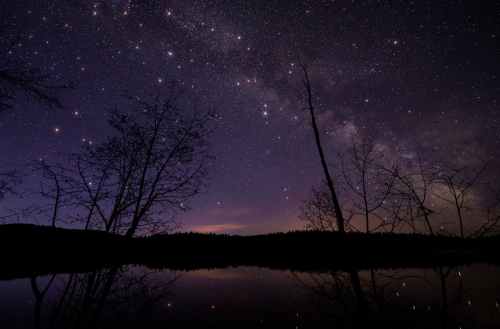 A serene night sky filled with stars and the Milky Way, reflected in a calm lake surrounded by silhouetted trees.