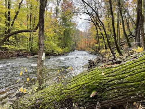 A serene river flows through a forest with vibrant autumn foliage and a moss-covered fallen tree in the foreground.