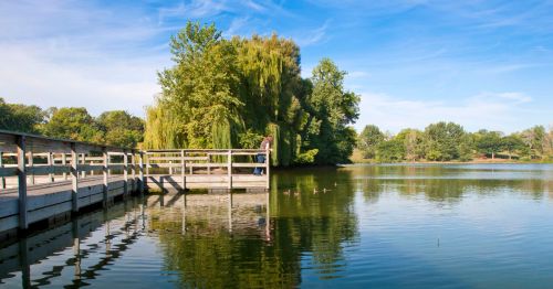 A serene lake scene with a wooden dock, lush trees, and a person standing by the water, reflecting in the calm surface.
