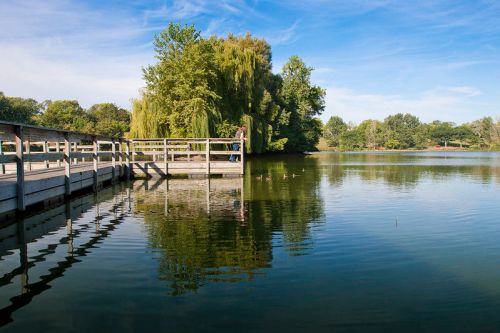 A serene lake scene with a wooden dock, trees, and a person standing by the water, reflecting in the calm surface.