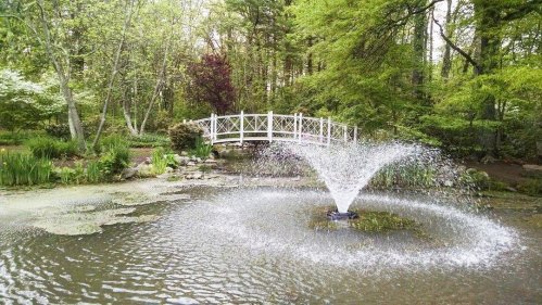 A serene pond with a fountain, surrounded by lush greenery and a white bridge in the background.