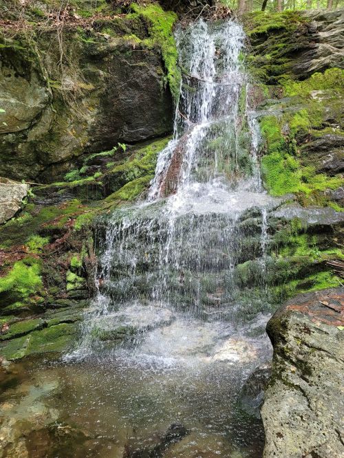 A serene waterfall cascading over moss-covered rocks into a small pool, surrounded by lush greenery.