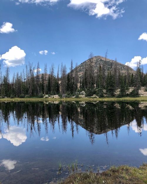A serene mountain landscape reflected in a calm lake, surrounded by trees and a clear blue sky with fluffy clouds.