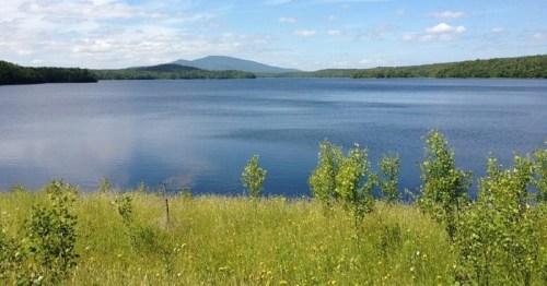 A serene lake surrounded by green grass and trees, with mountains in the background under a blue sky.