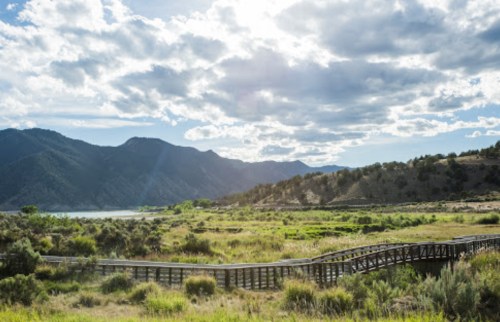 A scenic landscape featuring a wooden bridge winding through lush greenery, with mountains and clouds in the background.