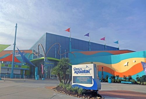 Exterior of an aquarium building with colorful walls, flags, and a sign, set against a clear blue sky.