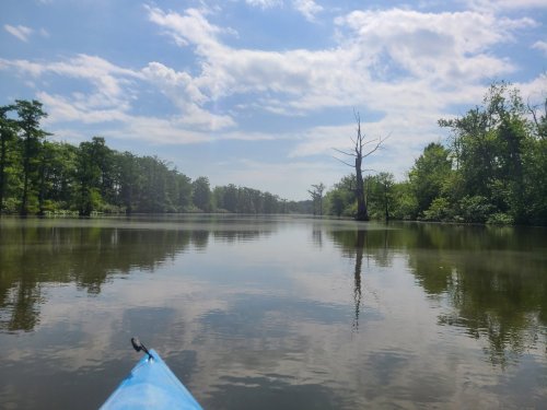 A serene view of a calm river with trees lining the banks and a cloudy sky reflected on the water's surface.