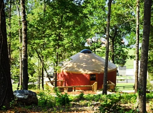 A yurt nestled among trees, featuring a round shape with a tan roof and wooden deck, surrounded by greenery.