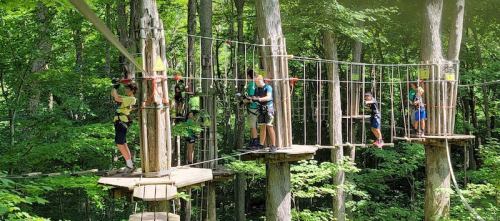 A group of people navigating a treetop obstacle course in a lush green forest.