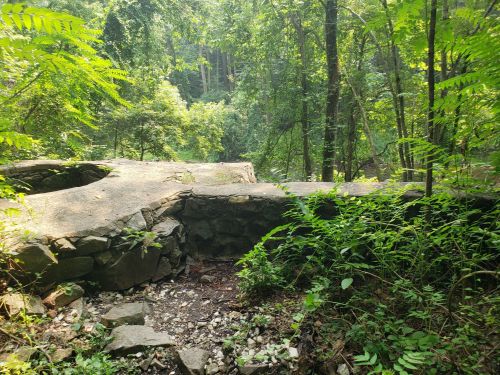 A stone structure partially covered in greenery, surrounded by dense trees and foliage in a forested area.