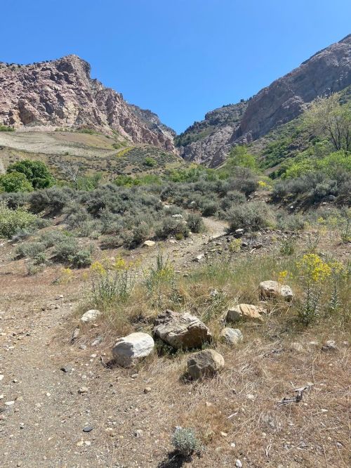 A rocky path leads through shrubs and wildflowers, surrounded by steep, rugged mountains under a clear blue sky.