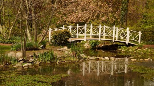 A white wooden bridge arches over a serene pond surrounded by lush greenery and blooming trees.