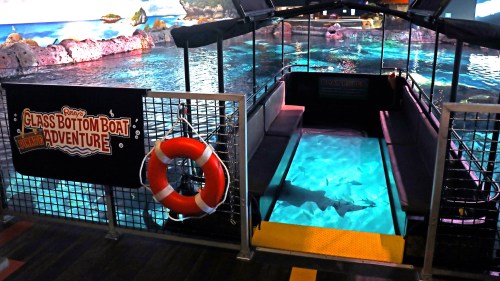 A glass bottom boat adventure setup with a lifebuoy, showcasing a clear view of water and a shark below.