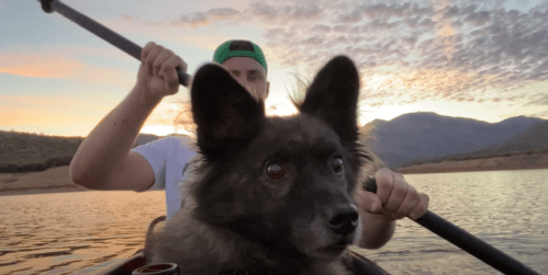 A person paddles a kayak on a lake at sunset, with a black dog sitting in front, looking curiously at the water.