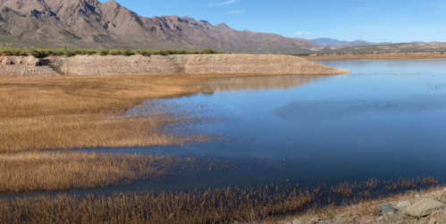 A serene landscape featuring a calm lake surrounded by dry grass and mountains under a clear blue sky.