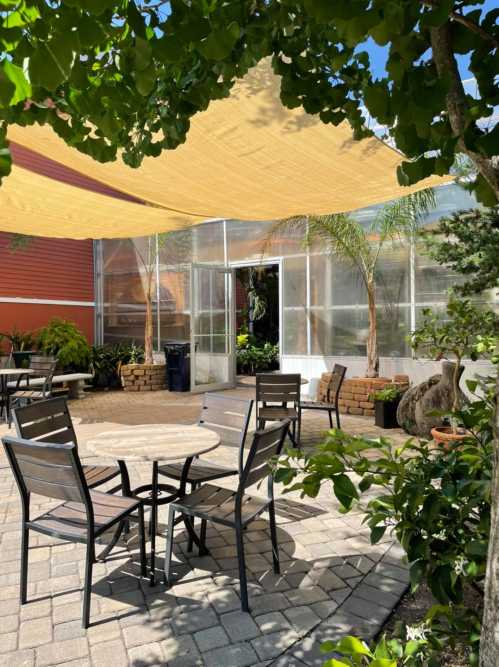 A sunny outdoor seating area with tables and chairs, surrounded by greenery and a large shade sail overhead.