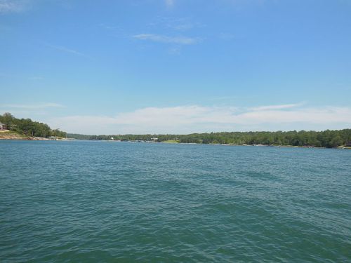 A serene view of a calm lake surrounded by green trees and a clear blue sky.