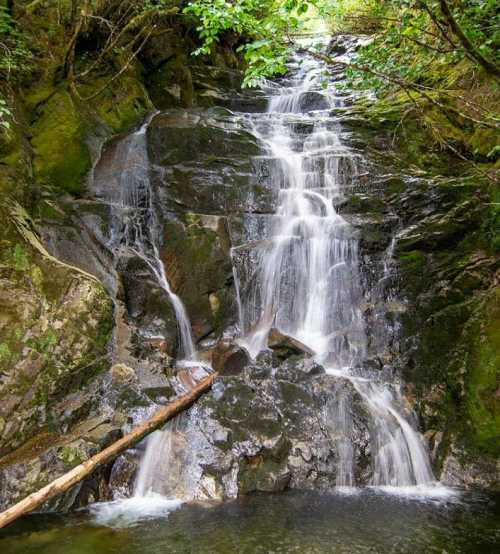 A serene waterfall cascading over rocks into a clear pool, surrounded by lush green foliage.