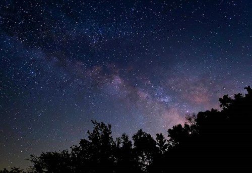 A starry night sky filled with the Milky Way, silhouetted by dark tree outlines at the bottom.