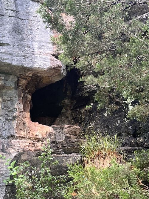A rocky cliff with a cave entrance, surrounded by greenery and shrubs.