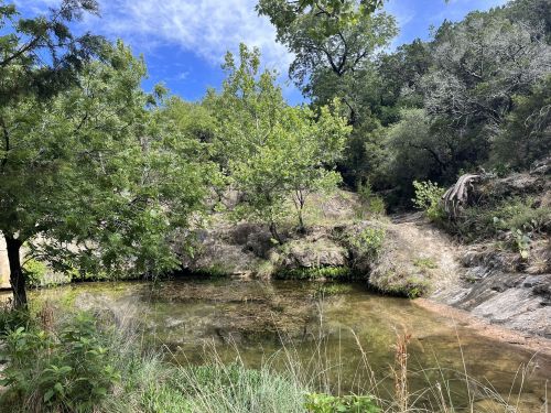 A serene natural pond surrounded by lush greenery and trees under a partly cloudy sky.