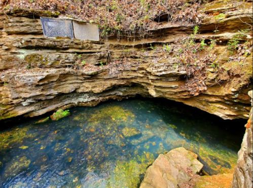 A rocky cave entrance with a clear blue pool of water inside, surrounded by moss and fallen leaves.