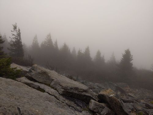Foggy landscape with rocky terrain and silhouettes of evergreen trees in the background.