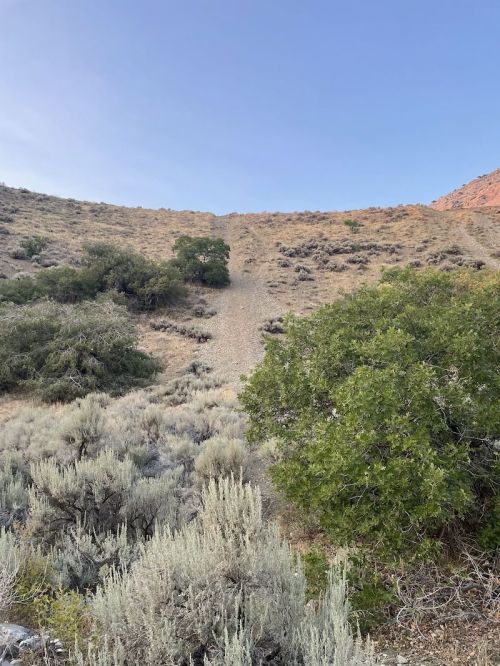 A dry hillside with sparse vegetation and a clear path leading up the slope under a blue sky.