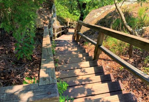 Wooden steps lead down through a wooded area, surrounded by rocks and greenery. Sunlight filters through the trees.