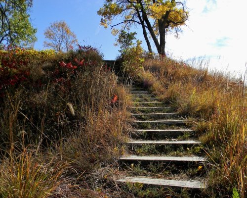A wooden staircase leads up a grassy hill, surrounded by colorful autumn foliage and a clear blue sky.