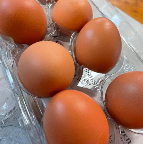 A close-up of six brown eggs in a clear plastic carton.