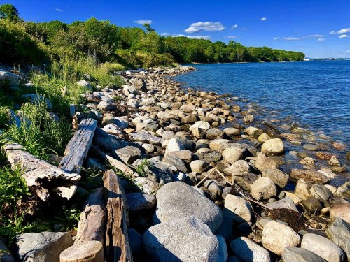 A rocky shoreline with lush greenery and a clear blue sky over calm water.