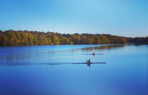 Two rowers glide across a calm lake, surrounded by trees with autumn foliage under a clear blue sky.