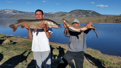 Two men stand by a lake, proudly holding large fish. Mountains and blue sky are visible in the background.