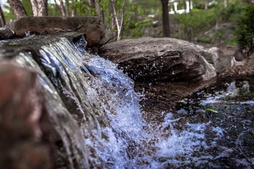 A small waterfall cascades over rocks into a serene pool, surrounded by lush greenery.