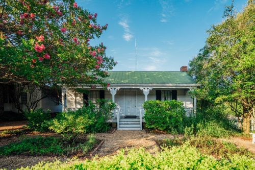 A charming house with a green roof, surrounded by lush greenery and colorful flowering trees under a clear blue sky.