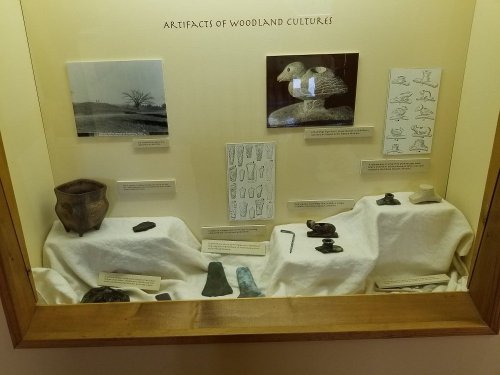 Display case featuring artifacts from Woodland cultures, including pottery, tools, and illustrations.