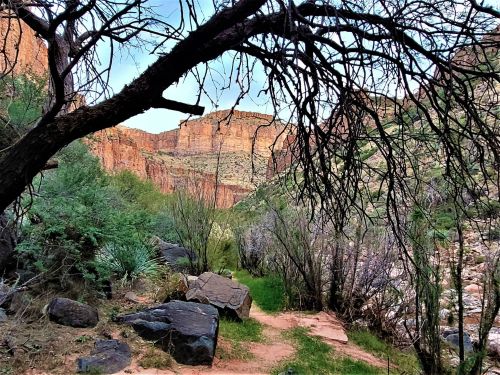 A winding path through a rocky landscape, framed by bare branches and lush greenery, leading to towering cliffs.