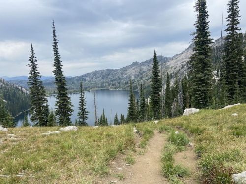 A scenic view of a lake surrounded by mountains and tall pine trees, with a grassy path leading into the landscape.