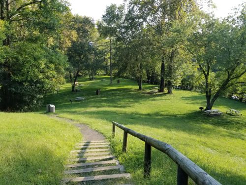 A grassy park with trees, picnic areas, and a winding path leading down a slope.