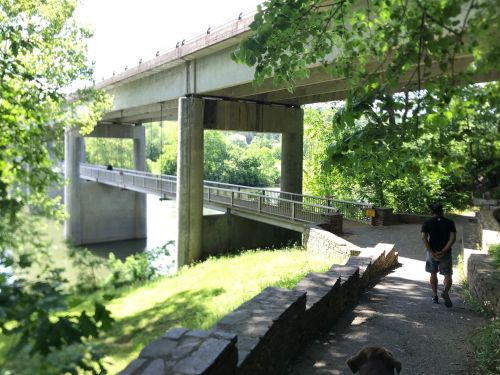 A person walks a dog along a path under a concrete bridge surrounded by greenery and a river.