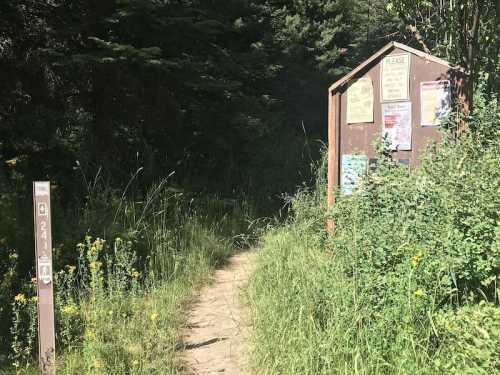 A narrow dirt path leads into a forest, with a signpost and bulletin board covered in notices on the side.