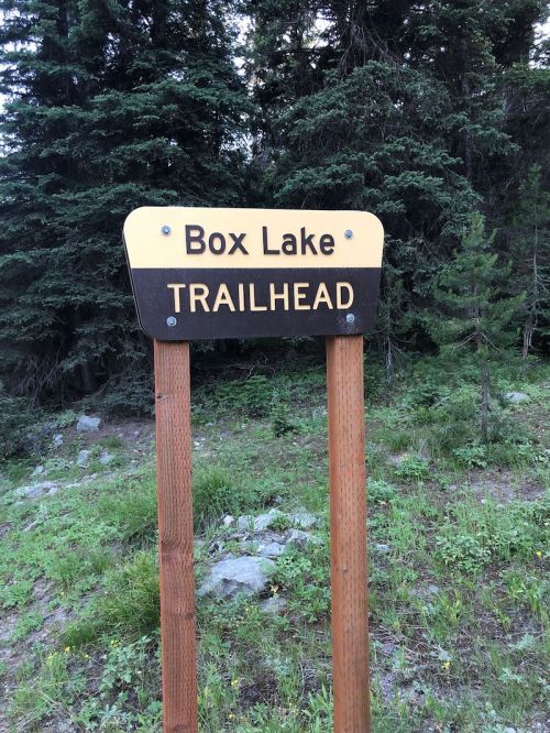 Sign for Box Lake Trailhead surrounded by trees and greenery.