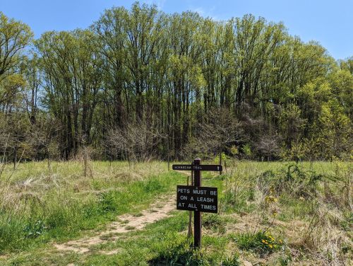 A wooden signpost marks a trail in a grassy area, surrounded by trees under a clear blue sky.
