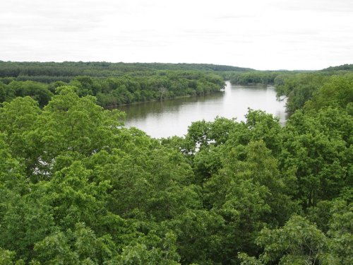 A serene river flows through lush green trees under a cloudy sky, showcasing a peaceful natural landscape.