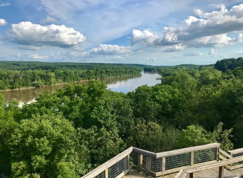 A scenic view of a river winding through lush green trees under a blue sky with fluffy clouds.