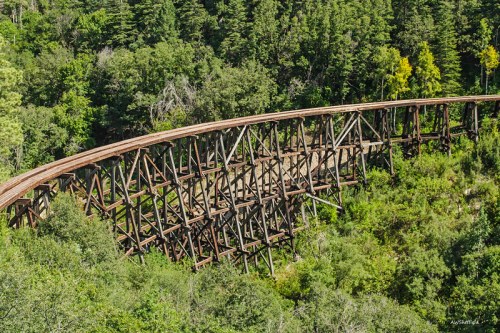 A curved wooden trestle bridge surrounded by lush green trees and foliage.