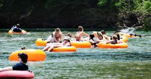 A group of people floating on orange inner tubes in a river on a sunny day.